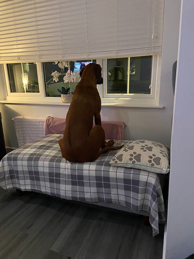 Review image